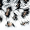С2 White transparent\Cheetah