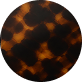 TORTOISE